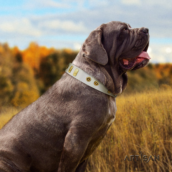 Mastino Neapoletano significant embellished leather dog collar for fancy walking