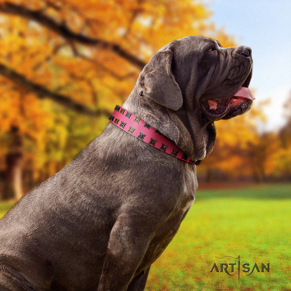 Mastino Neapoletano stylish design decorated full grain natural leather dog collar for comfy wearing