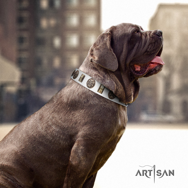 Mastino Neapoletano exquisite adorned full grain genuine leather dog collar for everyday walking