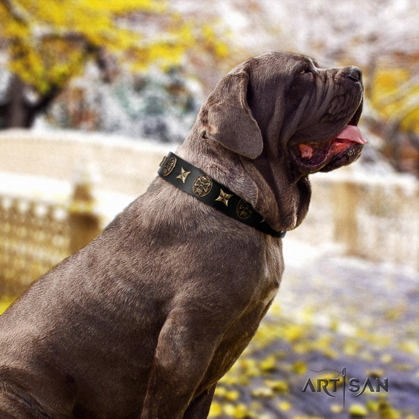 Mastino Neapoletano fashionable embellished full grain leather dog collar for everyday walking