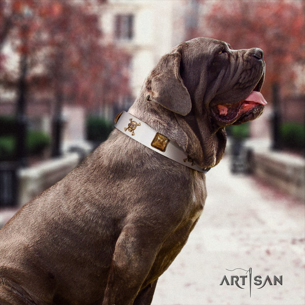 Mastino Neapoletano incredible adorned genuine leather dog collar for easy wearing
