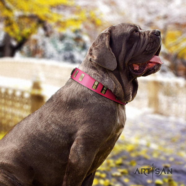 Mastino Neapoletano exceptional studded leather dog collar for comfy wearing
