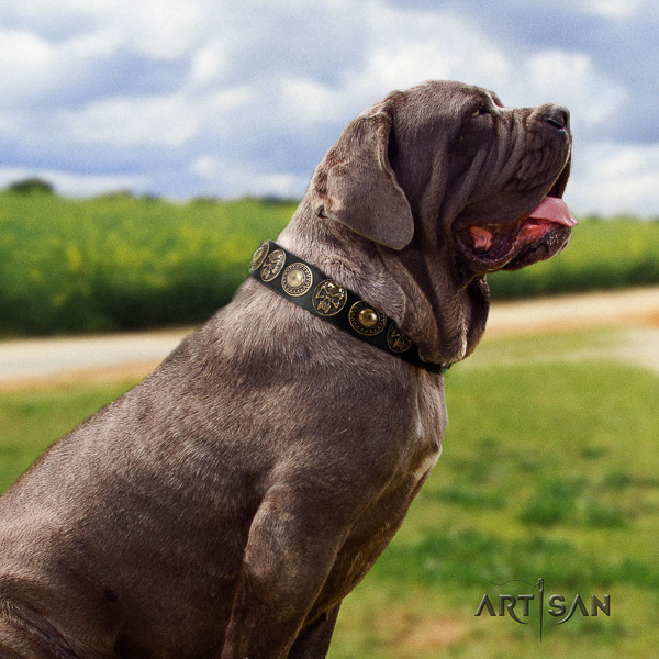 Mastino Neapoletano exquisite decorated genuine leather dog collar for comfortable wearing