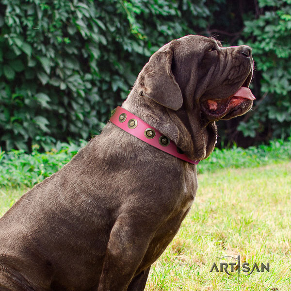 Mastino Neapoletano extraordinary embellished full grain leather dog collar for daily use