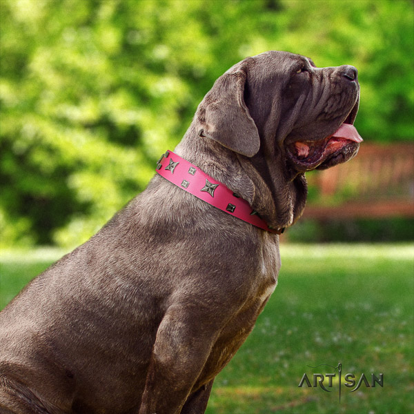 Mastino Neapoletano top notch decorated full grain leather dog collar for comfy wearing