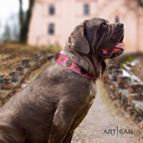 Mastino Neapoletano top notch studded full grain genuine leather dog collar for walking