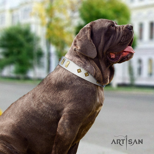 Mastino Neapoletano exceptional decorated natural leather dog collar for comfortable wearing
