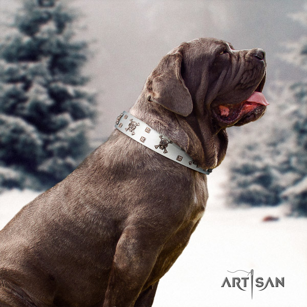 Mastino Neapoletano exceptional decorated full grain natural leather dog collar for daily use