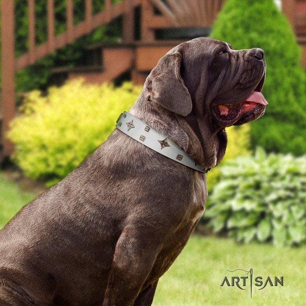 Mastino Neapoletano exceptional adorned full grain natural leather dog collar for walking