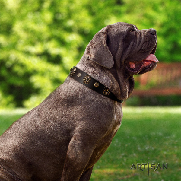 Mastino Neapoletano exquisite studded full grain genuine leather dog collar for walking