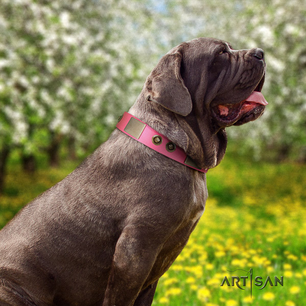 Mastino Neapoletano stylish design decorated genuine leather dog collar for daily use
