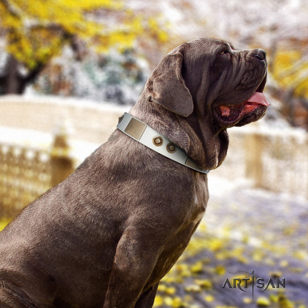 Mastino Neapoletano incredible studded natural leather dog collar for everyday use