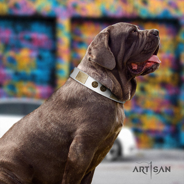 Mastino Neapoletano stunning decorated full grain genuine leather dog collar for comfortable wearing