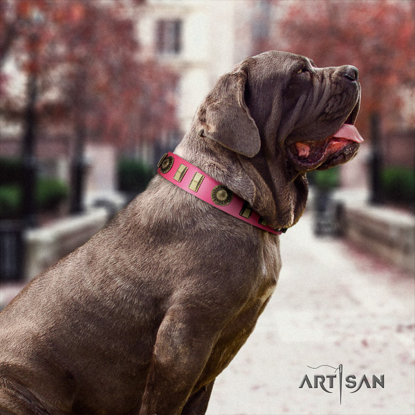 Mastino Neapoletano top notch decorated full grain leather dog collar for everyday use