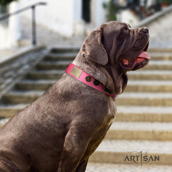 Mastino Neapoletano inimitable adorned leather dog collar for handy use