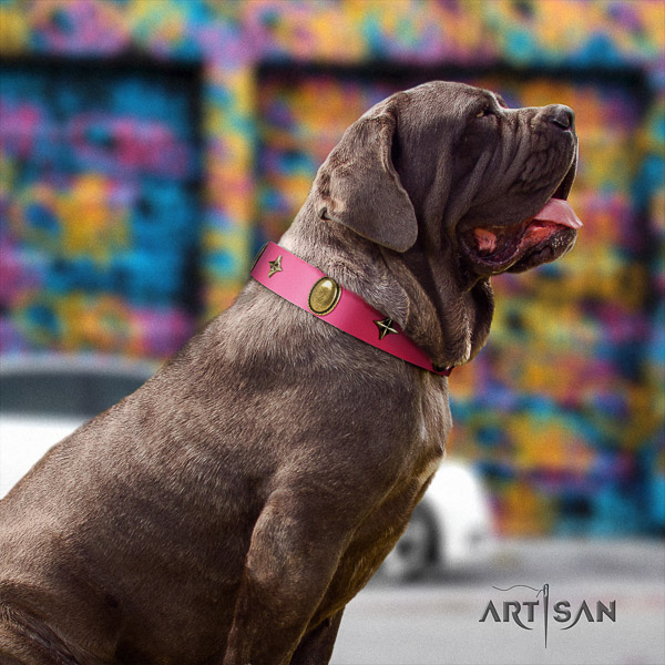 Mastino Neapoletano impressive embellished full grain leather dog collar for everyday walking