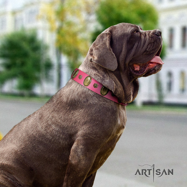 Mastino Neapoletano extraordinary adorned natural leather dog collar for fancy walking