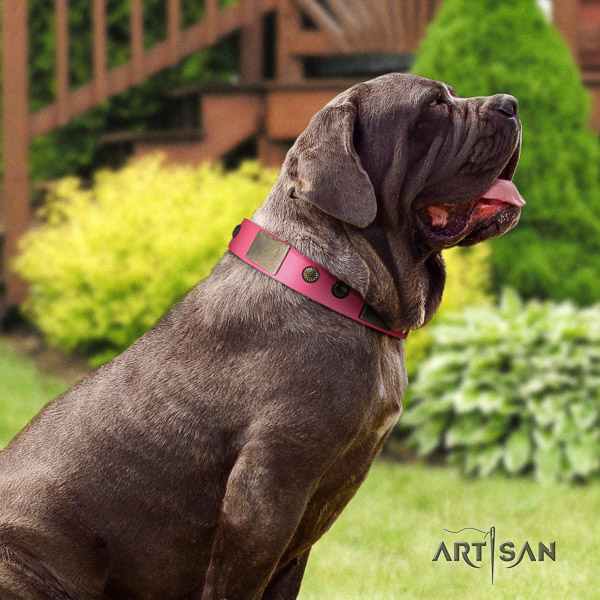 Mastino Neapoletano amazing adorned natural leather dog collar for daily use