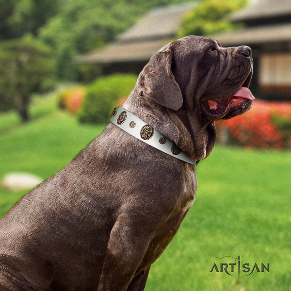 Mastino Neapoletano trendy embellished leather dog collar for everyday use