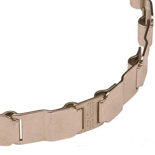 Stainless steel neck tech dog collar 