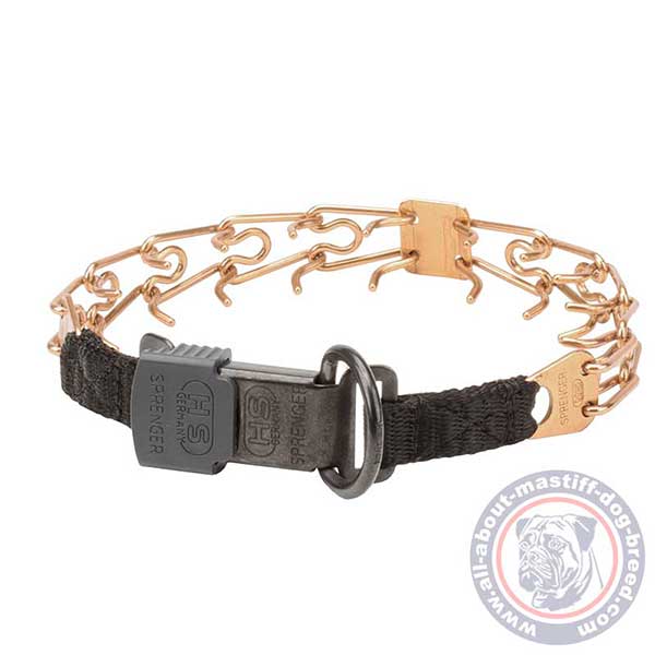 Polished curogan pinch dog collar