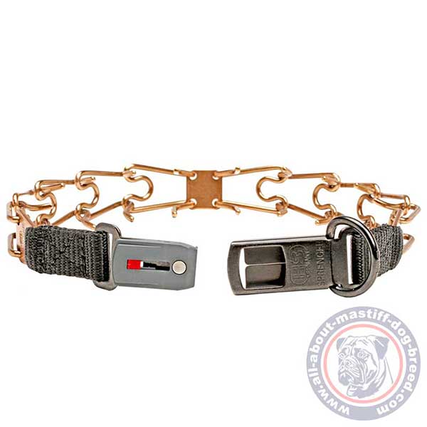 Dependable pinch dog collar