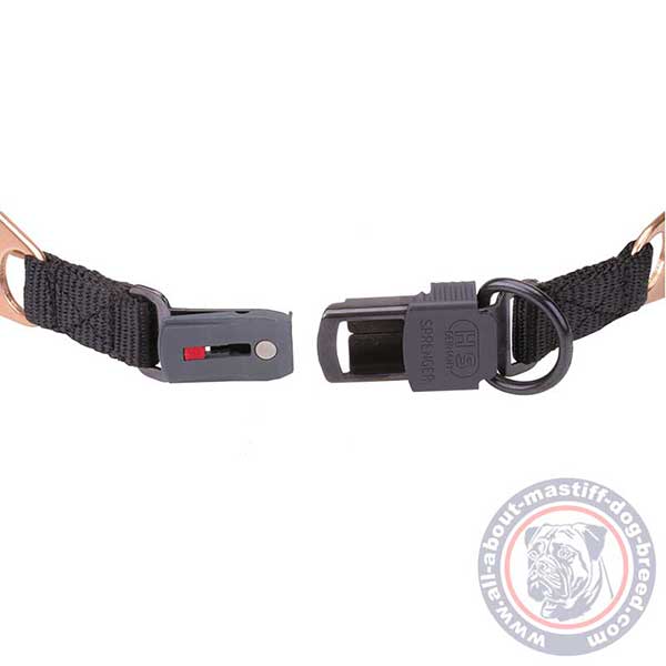 Curogan pinch dog collar quick in use