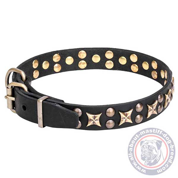 Walking leather dog collar