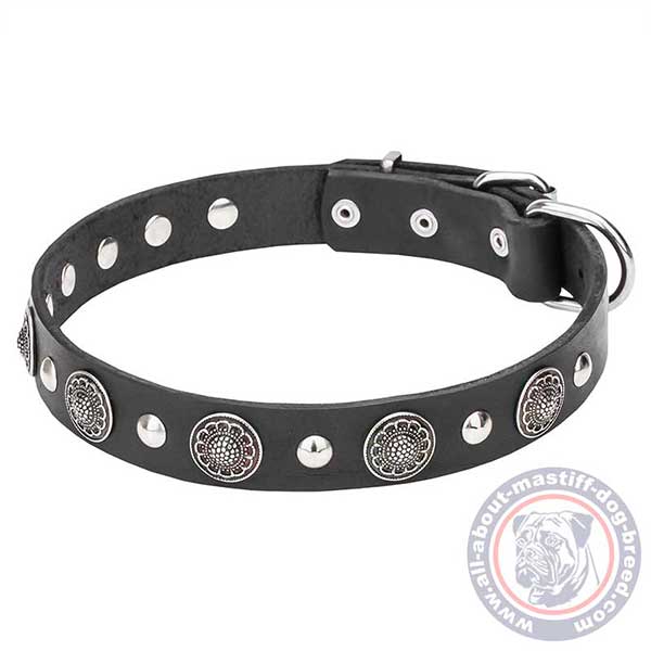 Walking leather dog collar with studs