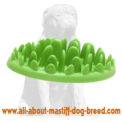 Mastiff Green Grassy Interactive Slow Dog Feeder Ka17 1071
