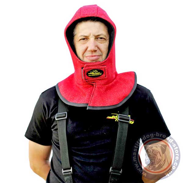 Safe head protector