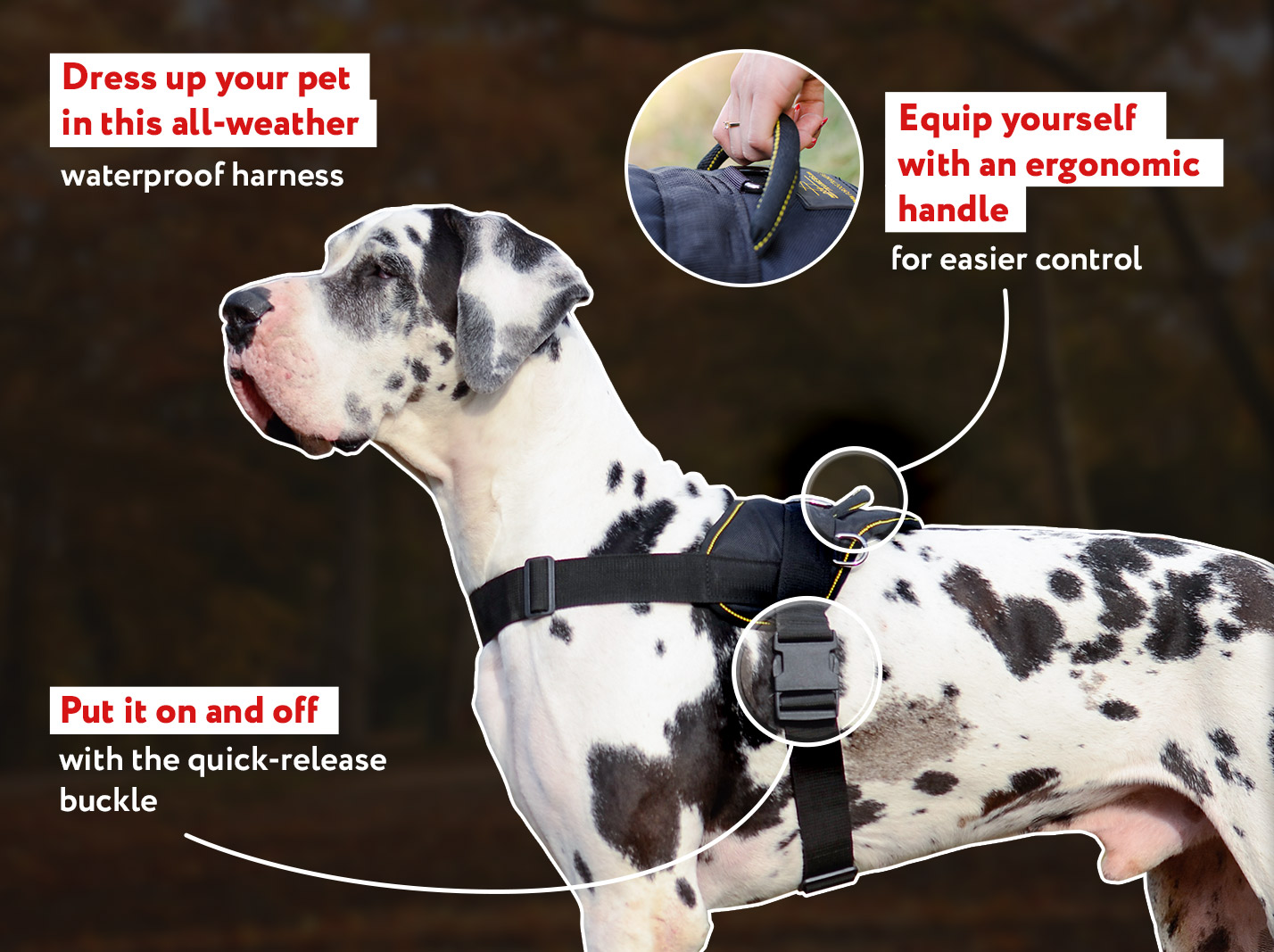 Extra Lightweight Nylon German 【Mastiff】 Harness for Tracking/Pulling Mastiff harness, Mastiff