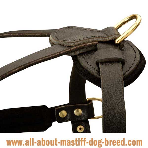 Leather Alpine Mastiff  harness with brass hardware 