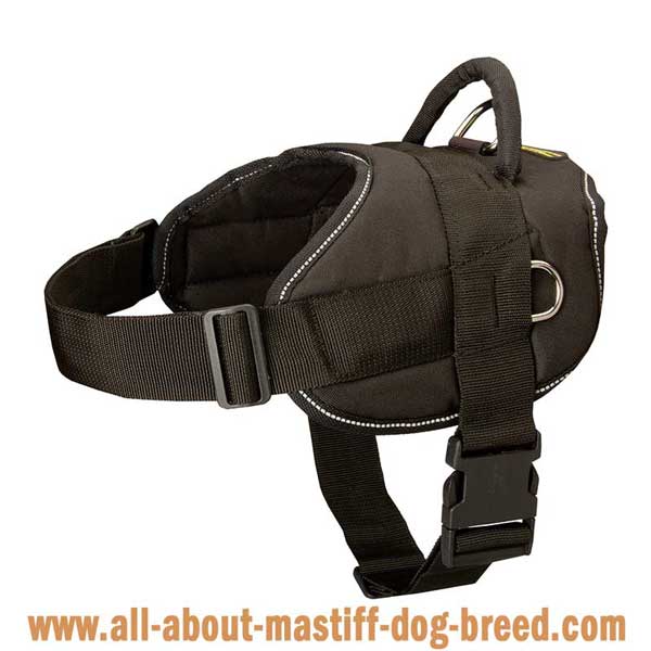 Lightweight Boerboel Mastiff harness made of waterproof nylon