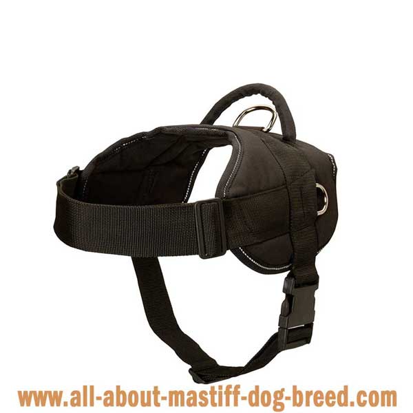 Lightweight Brazilian Mastiff harness manufactured of waterproof  nylon