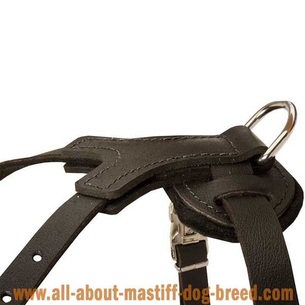 Convenient Spiked Leather Bullmastiff Harness