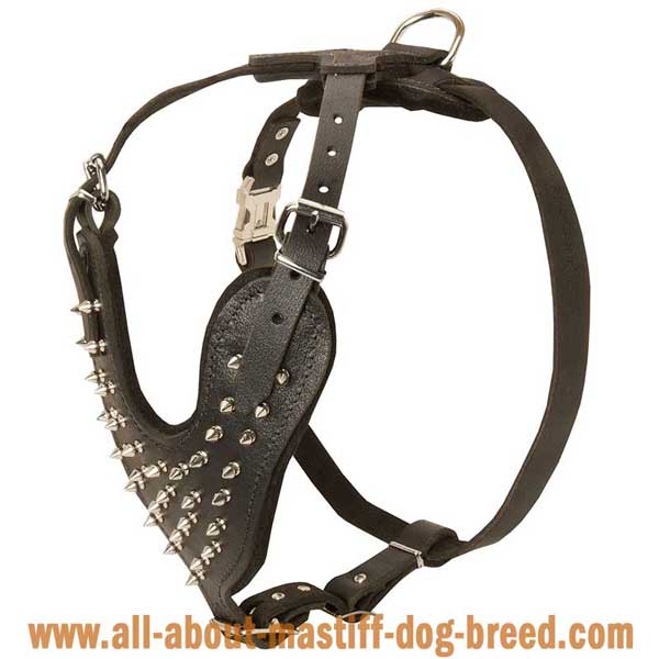 Hypoallergic Spiked Leather Bullmastiff Harness