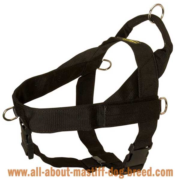 Bullmastiff Nylon Harness for Different Purposes