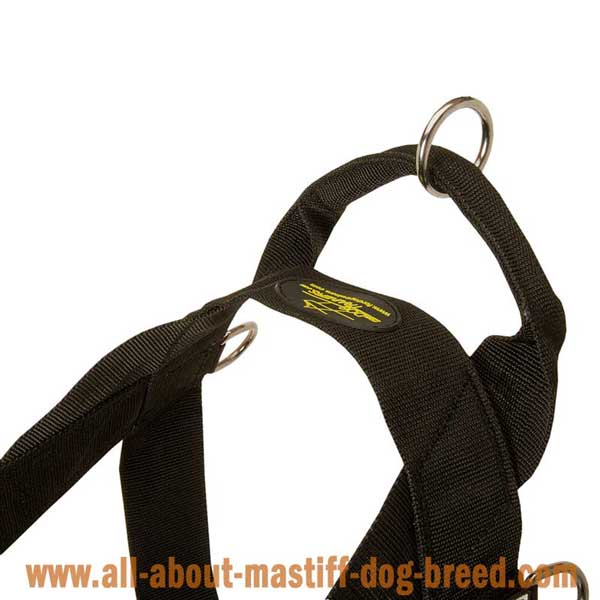 Bullmastiff Nylon Harness with Rust Resistant Hardware