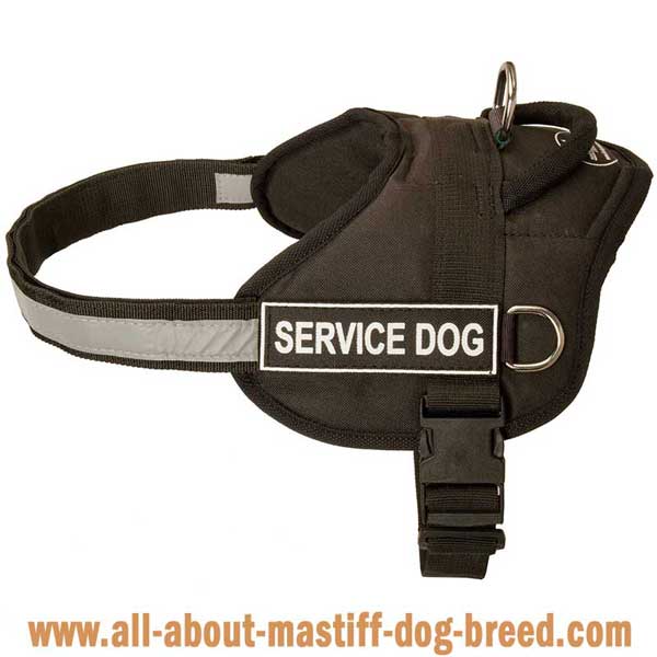 Bullmastiff Nylon Harness for Safe Walking