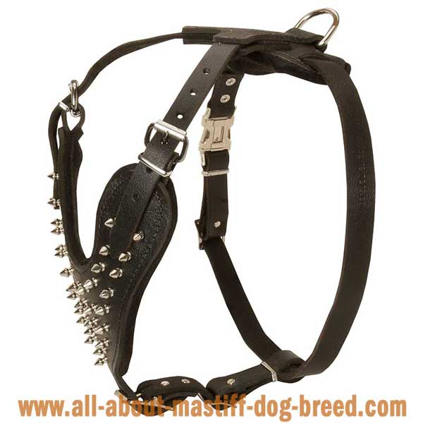 Hypoallergic Spiked Leather Cane Corso Mastiff Harness