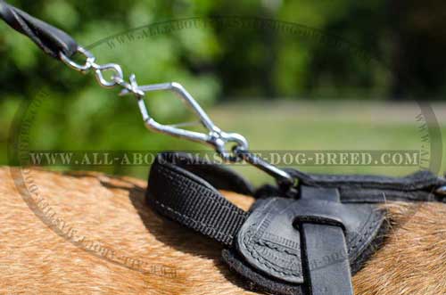 Cane Corso Leather Harness for Easy Leash Attachment