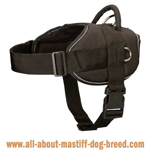 Reflective Cane Corso harness with white trim