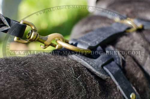 Tracking leather dog harness with brass hardware