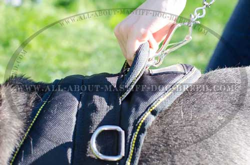 Strong nylon dog harness with side rings for pulling