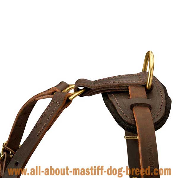 Reliable non-rusting English Mastiff leather harness 