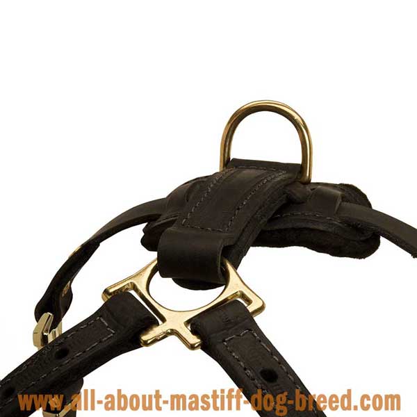 French Mastiff Dog Harness Made of Leather Equipped with  Strong Brass Hardware