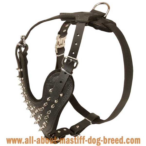 Comfortable Leather French Mastiff Harness