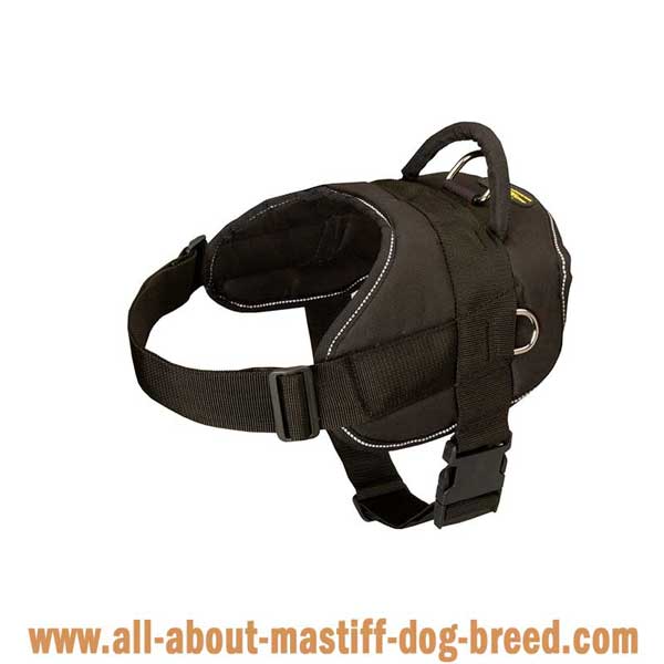 Lightweight nylon French Mastiff harness easy to adjust