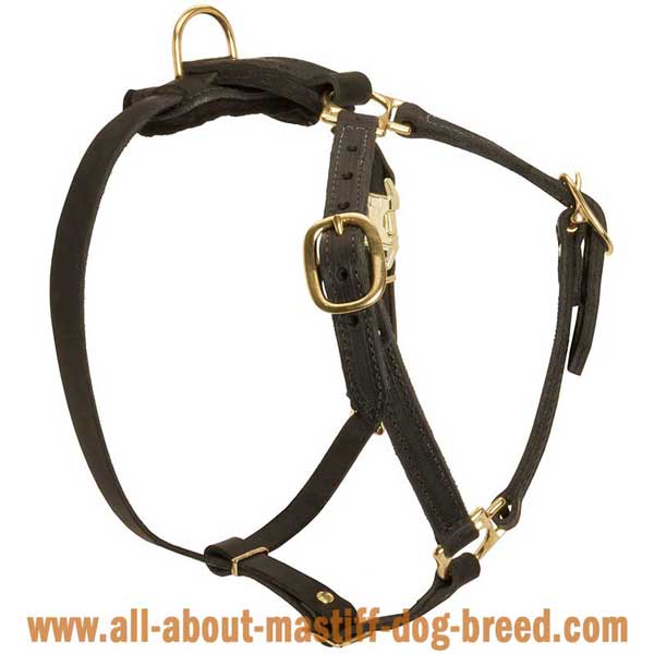 German Mastiff Dog Harness Leather with 4 Adjustable Straps